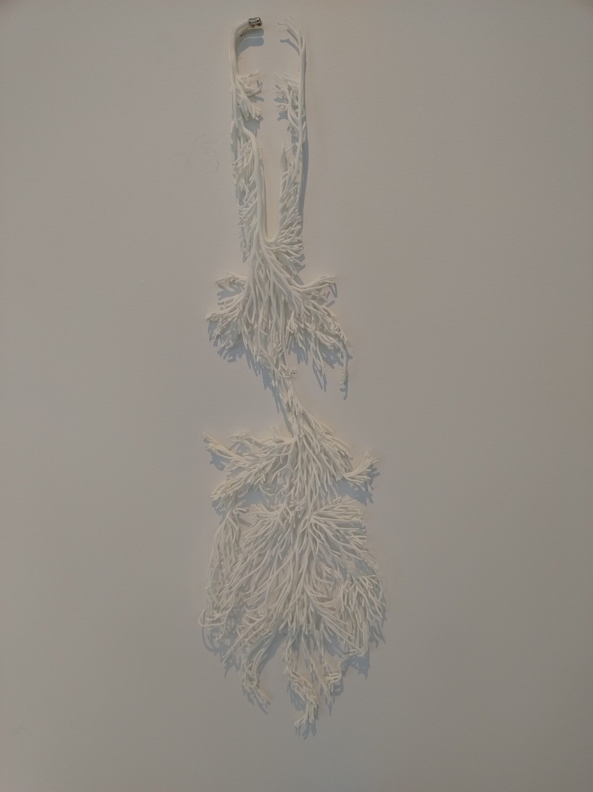 IMG_20250122_145421982